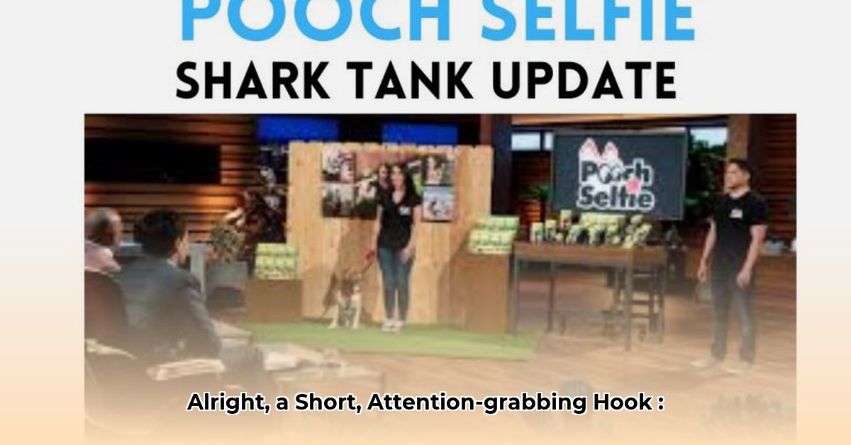 pooch-paper-shark-tank-net-worth